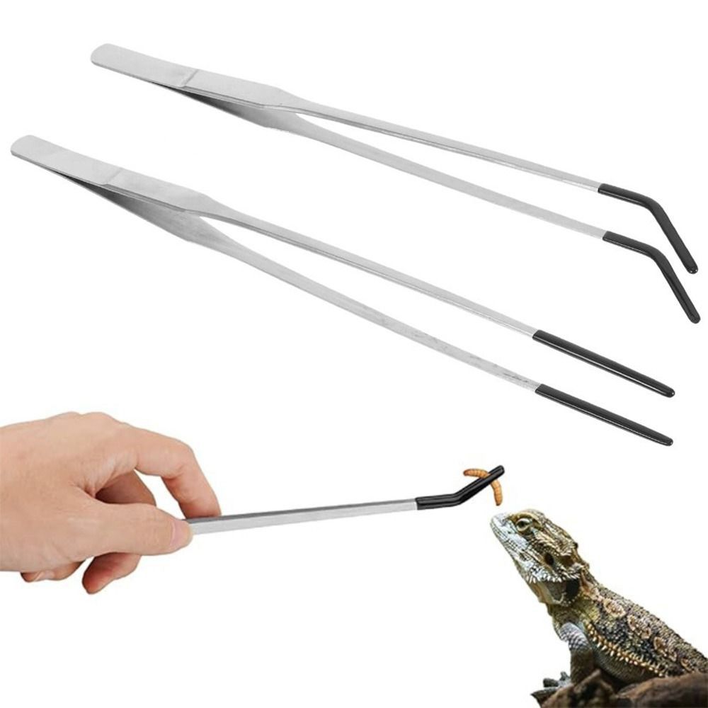 Feeding Tong Stainless - 2Pcs Stainless Steel Aquarium Feeding Tweezers