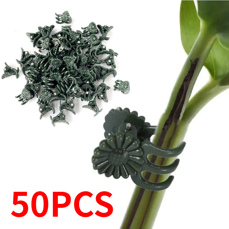 50PCS 5-Claw Dark Green Plant  - Vine Climbing Plastic 评论和价格
