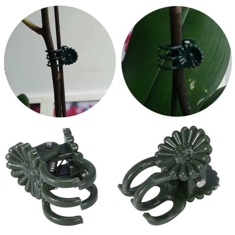 50PCS 5-Claw Dark Green Plant  - Vine Climbing Plastic 评论和价格