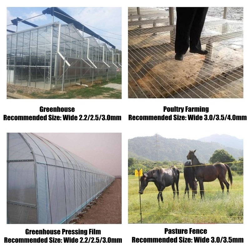 50m Plastic Steel Wire Agricul - Vine Climbing Plastic 评论和价格