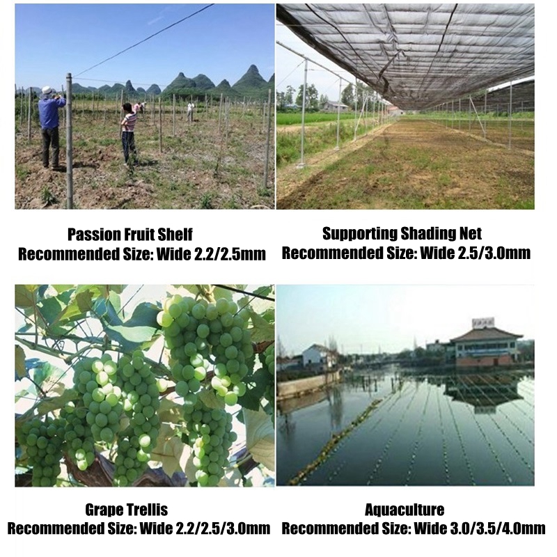 50m Plastic Steel Wire Agricul - Vine Climbing Plastic 评论和价格